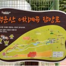 제333차 광양 백운산(1,222m) 어치계곡 정기산행 이미지