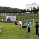 동부초등학교 내 이미지