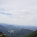 금산인삼직매장