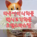 로맨스바스켓 이미지