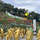 장수인삼