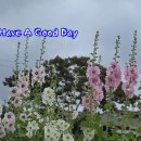 용담호보이는길 이미지