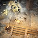 생성의 대지-비상 이미지