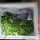 길식농장 이미지