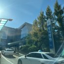 김진구 | [미세천공술] 타병원에서 무릎 연골 수술 후 '명지병원' 김진구 원장님 진료후기