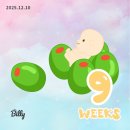 UR(원주시)-[동부순환로]-상-11 | 9주차~11주차 임신일기. 성심당 딸기시루 말차시루...프리패스 후기 | 대전 현지인 맛집 광천식당 두부...