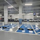 플로라유외과의원 이미지