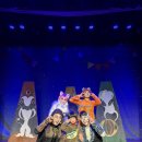 (주)캣프렌즈 이미지