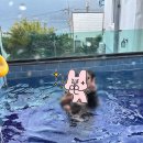 다올거제스테이 네이버블로그