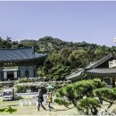 평사(여) Daum카페