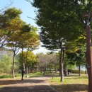 팔당로107 이미지