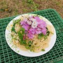 청송포레스트 이미지