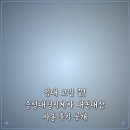 임대 고민 끝! 증평대형지게차 내돈내산 사용 후기 공개