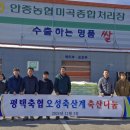 평택오성쌀