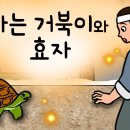 말하는 거북이와 효자 外1 (시묘살이하는 효자와 강도,사람 말을 그대로 따라하는 거북이를 만난 효자) 야담 이미지
