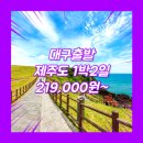 대구출발제주여행 여행사 / 대구공항 / 대구_제주도_1박2일 #관광패키지 #조석
