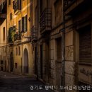 누리심리상담연구소
