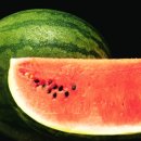 휘트니스트렌드 이미지