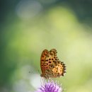 (주)사랑으로 이미지