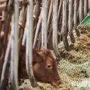 팔부농장 이미지