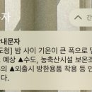 탄금호야영장 이미지