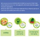 지오플러스 이미지