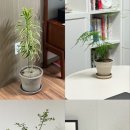 바로디엔지 이미지