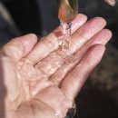 약천 산책로 네이버블로그