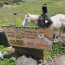 법환동마을회관 이미지