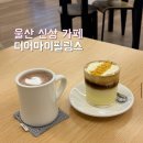 울산 달동 신상 카페 추천 애견동반 실내 가능 디어마이필링스