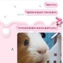 (주)잼인터렉티브 | 쏟아지는 바람에 힘껏 춤을 춰도 괜찮아