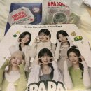 파파존스 속초점 | 파파존스 더블치즈버거 후기