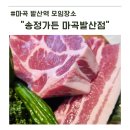 육회한판 | 마곡 발산역 모임장소 맛집 송정가든 돼지모듬한판 육회 후기