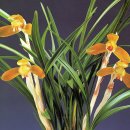 (주)금화 이미지