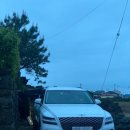 스테이 행원 이미지