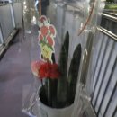 바이오엔펫 이미지