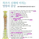 바른자세척추운동(SNPE) 이미지