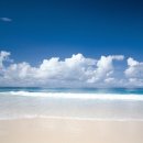 원트레이닝센터 이미지