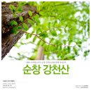 맑은물빛공원1 이미지