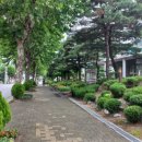 영서동행정복지센터 이미지