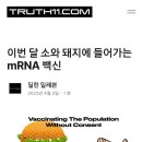 돼지와소