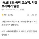 [속보] 8% 폭락 코스피, 서킷브레이커 발동 이미지