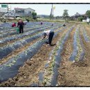 이완구농장 이미지