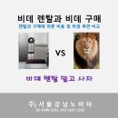 서울강남노비타비데