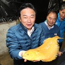 도청영어조합법인