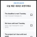 (주)화요일