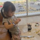 (주)차파는정비사 | [미국 시카고 일상] #29 Ikea $5 Earth day buffet | 5달러의 행복 + 북유럽 여행 소환 20260424