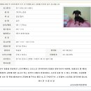 유기견게시판에서 퍼왔어요 닥스잃어버리신분 (경기도군포) 이미지