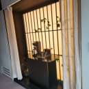 산온 | 산온 리트릿 안동 후기