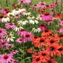 맑은샘농장 이미지